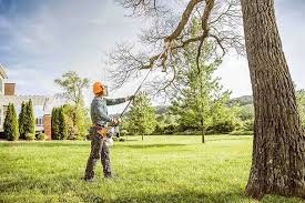  East Berwick, PA Tree Services Pros